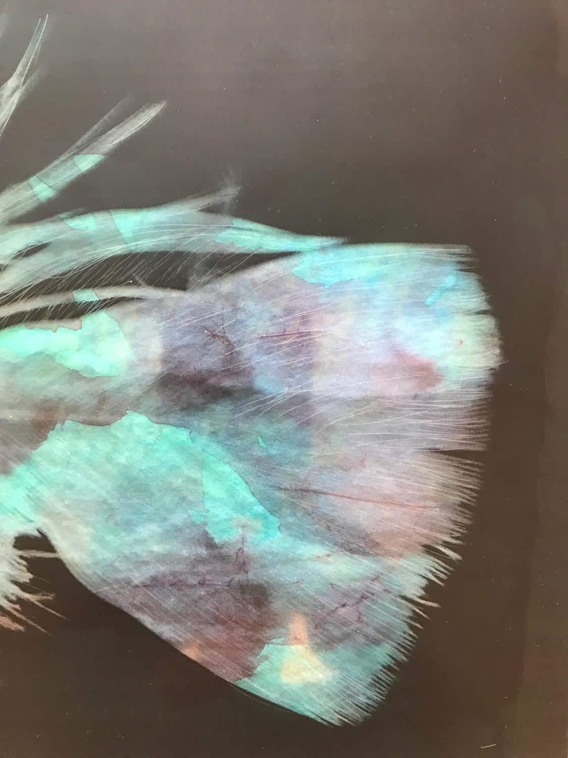 Höyhen b taulu: Höyhen b